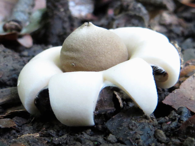 [image]