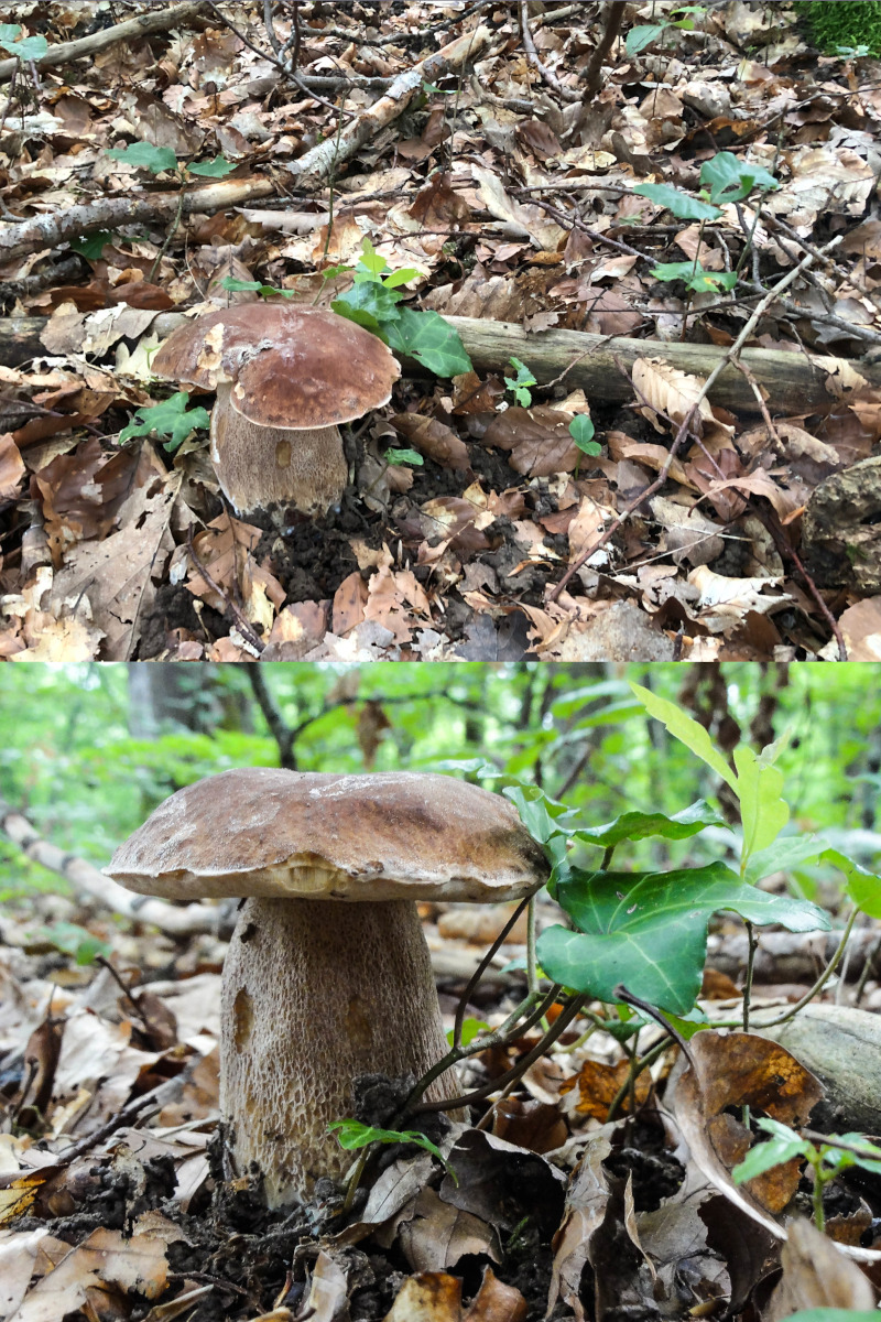 [image]