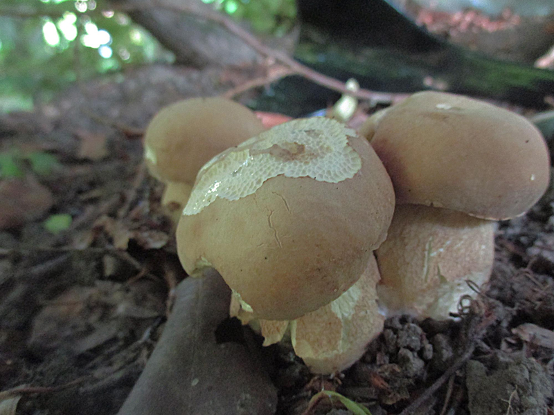 [image]