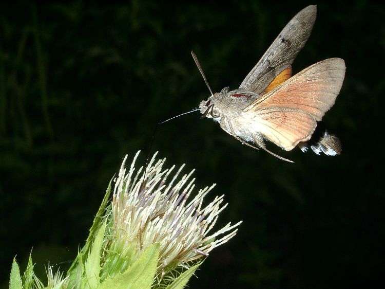 [image]